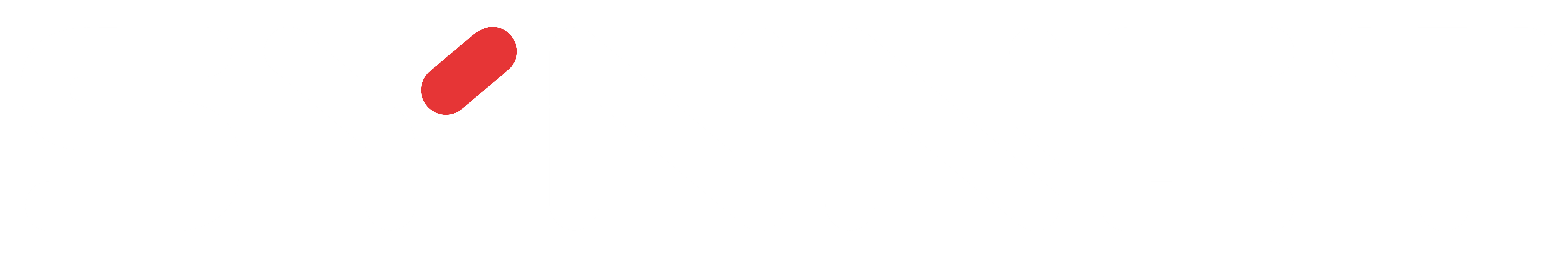Synnet white logo with red part of Y